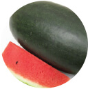Water Melon - F-1 Arya 005