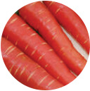 Carrot Seeds - Red Queen