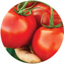 Tomatoes seeds - F-1 2550