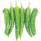 Best Pepper Seeds