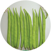 Cowpea Cluster Bean Seeds