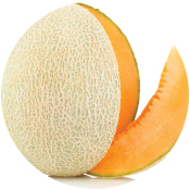 Muskmelon Seeds Exporters