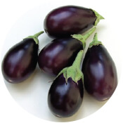 Best Brinjal Seeds Gujarat