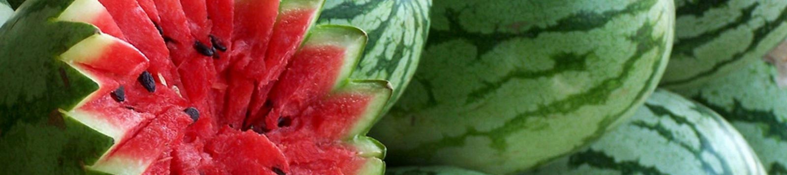 Watermelon Seeds