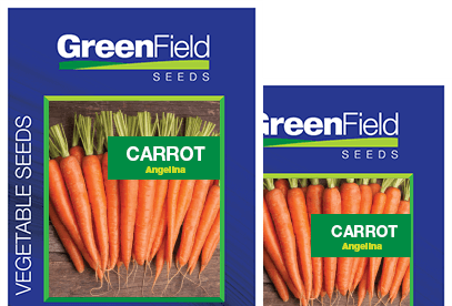 Carrot Seeds