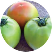 Best Tomato Seeds